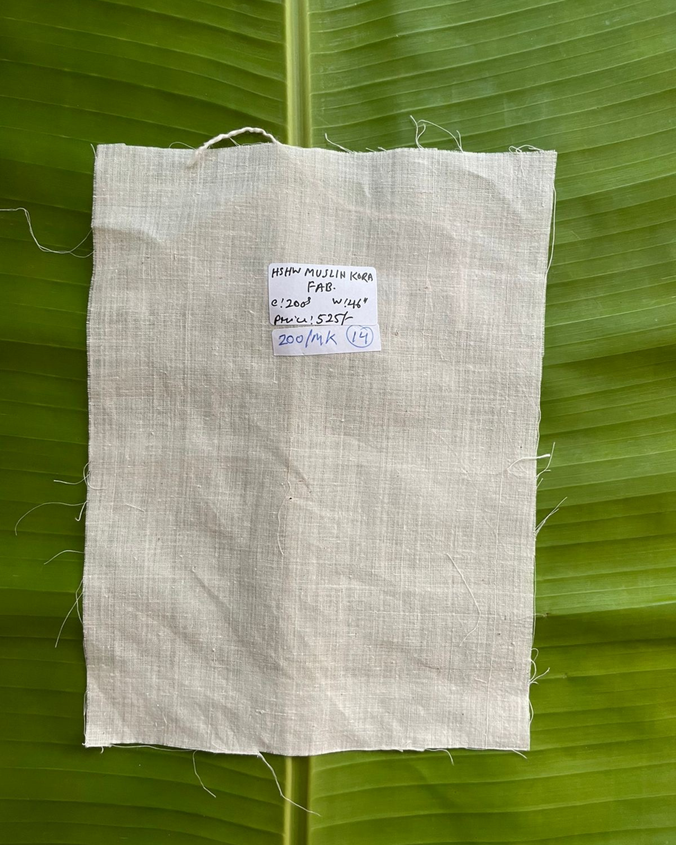 200 counts Muslin Kora Plain Fabric