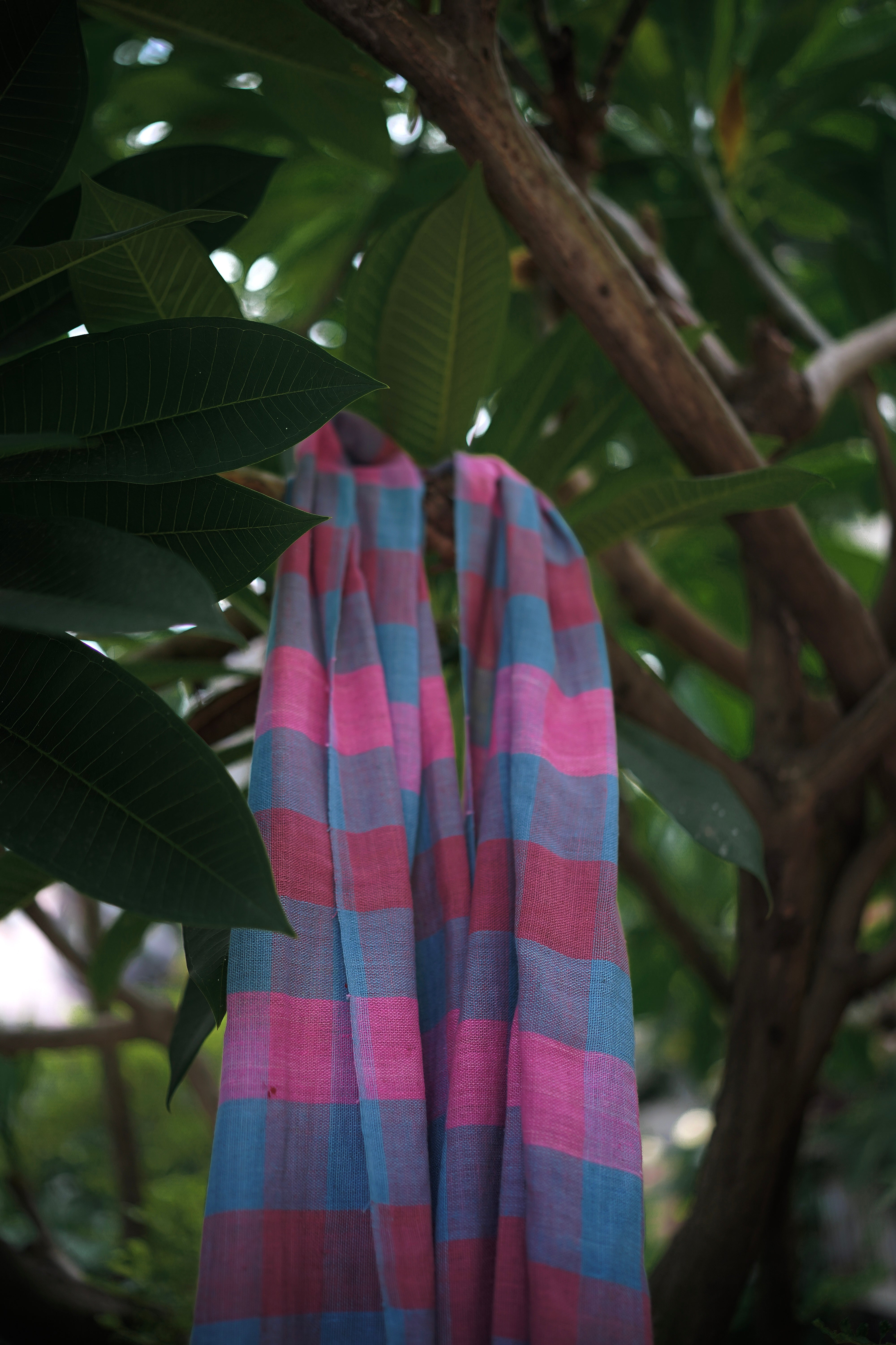 33 counts Stole with Natural Dye Color Checks Indigenous Variety Cotton