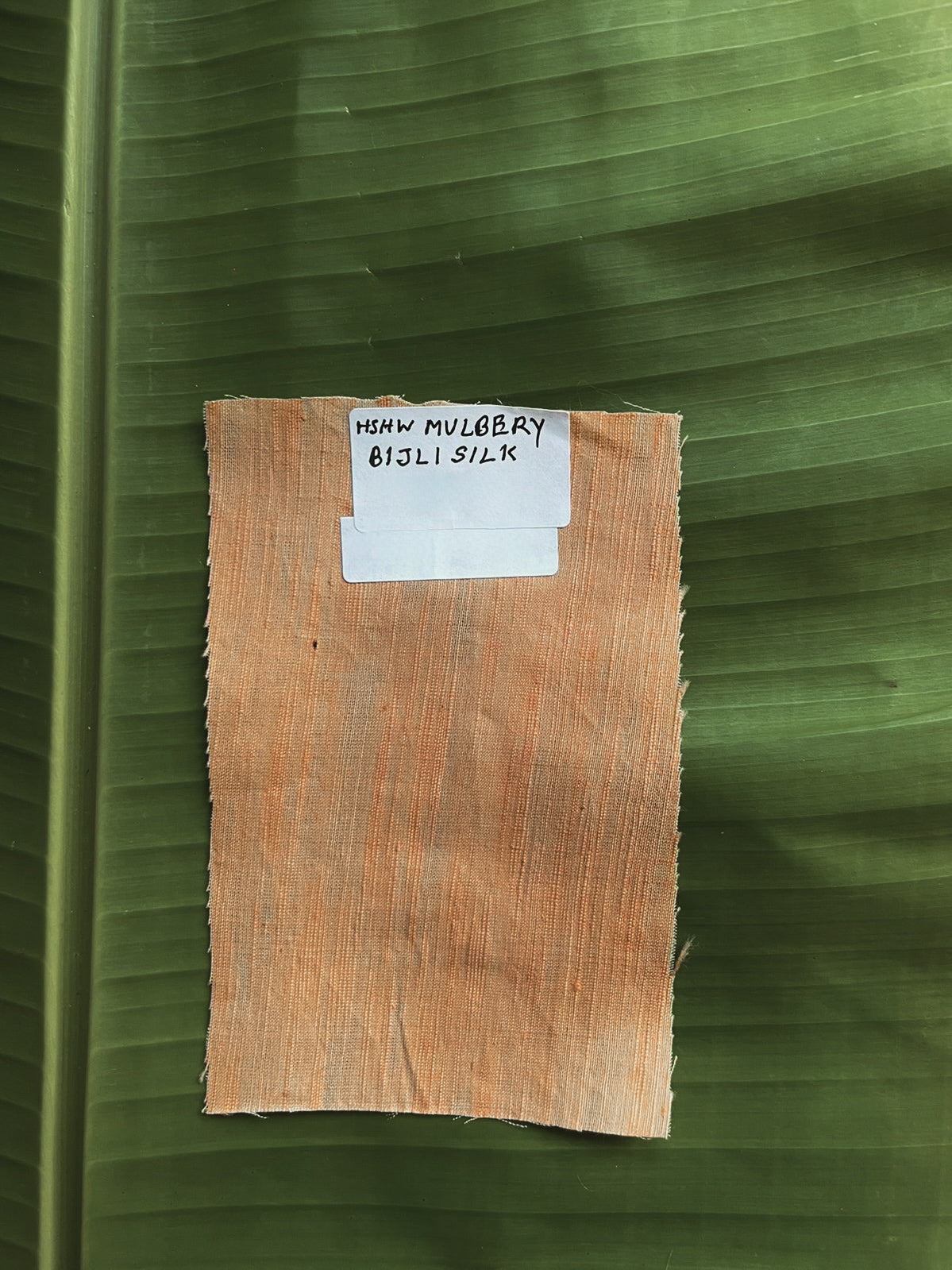 Cotton with silk(mulberry silk)