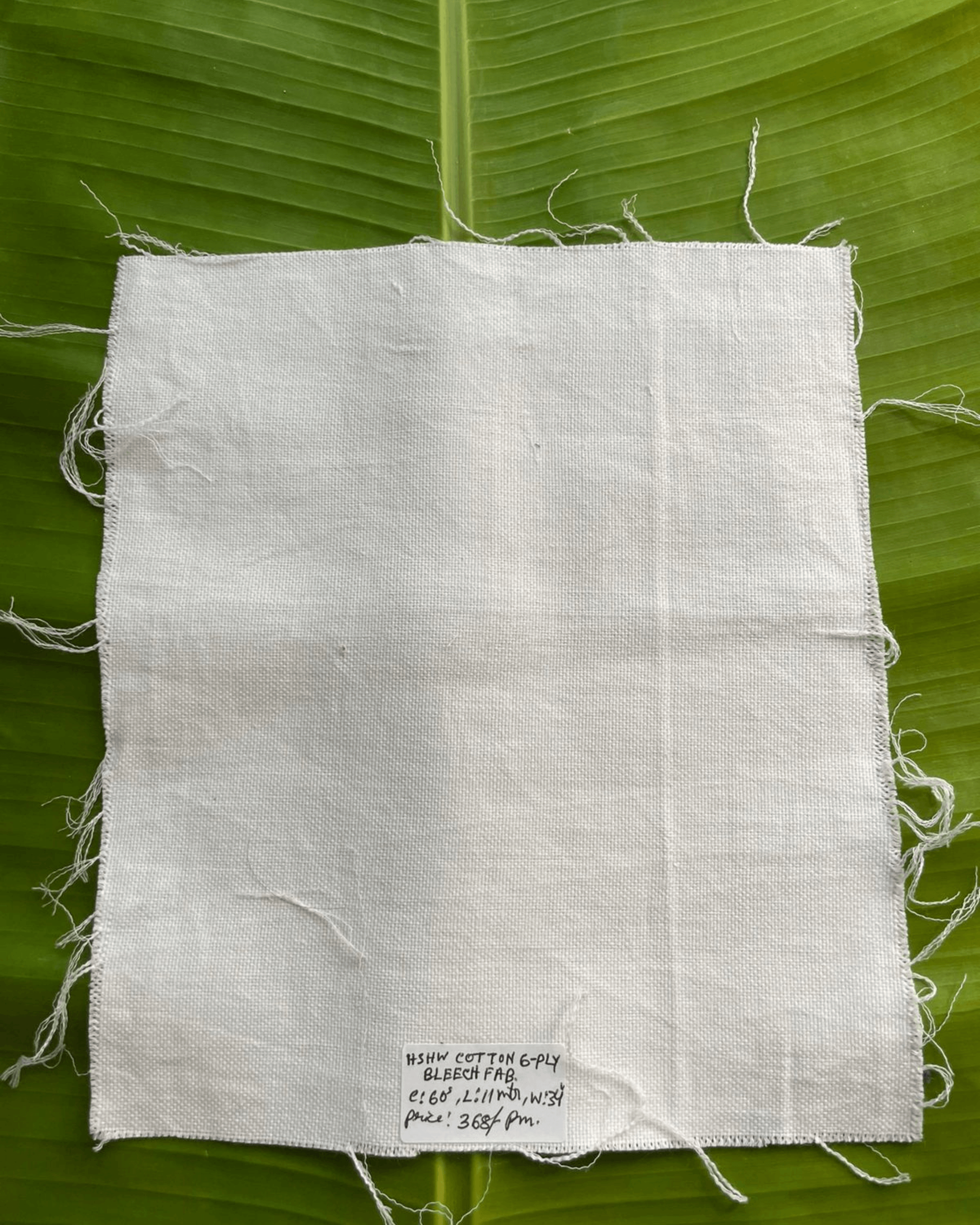 Cotton handloom 60s 6 ply Kora Fabric