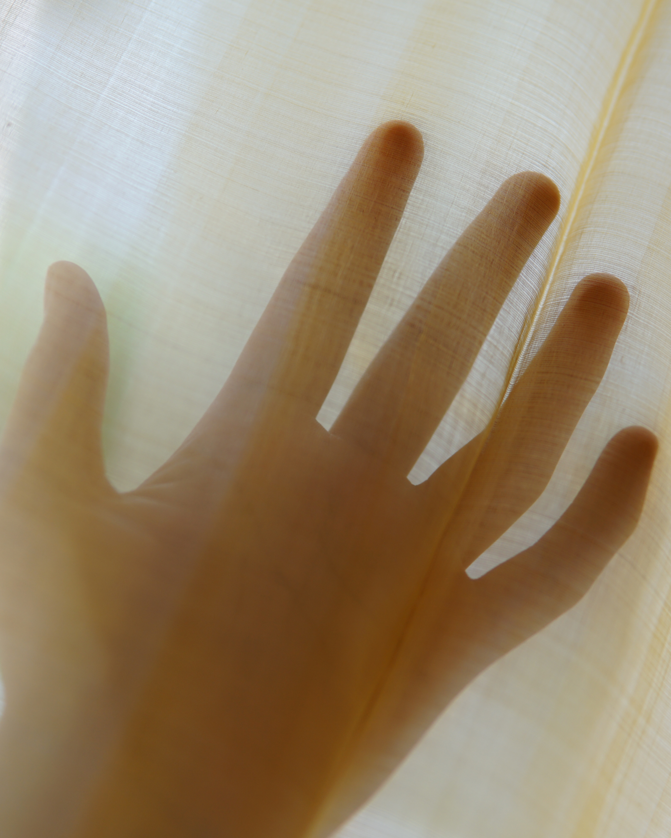 Mulberry Silk Double Thread Kora Fabric