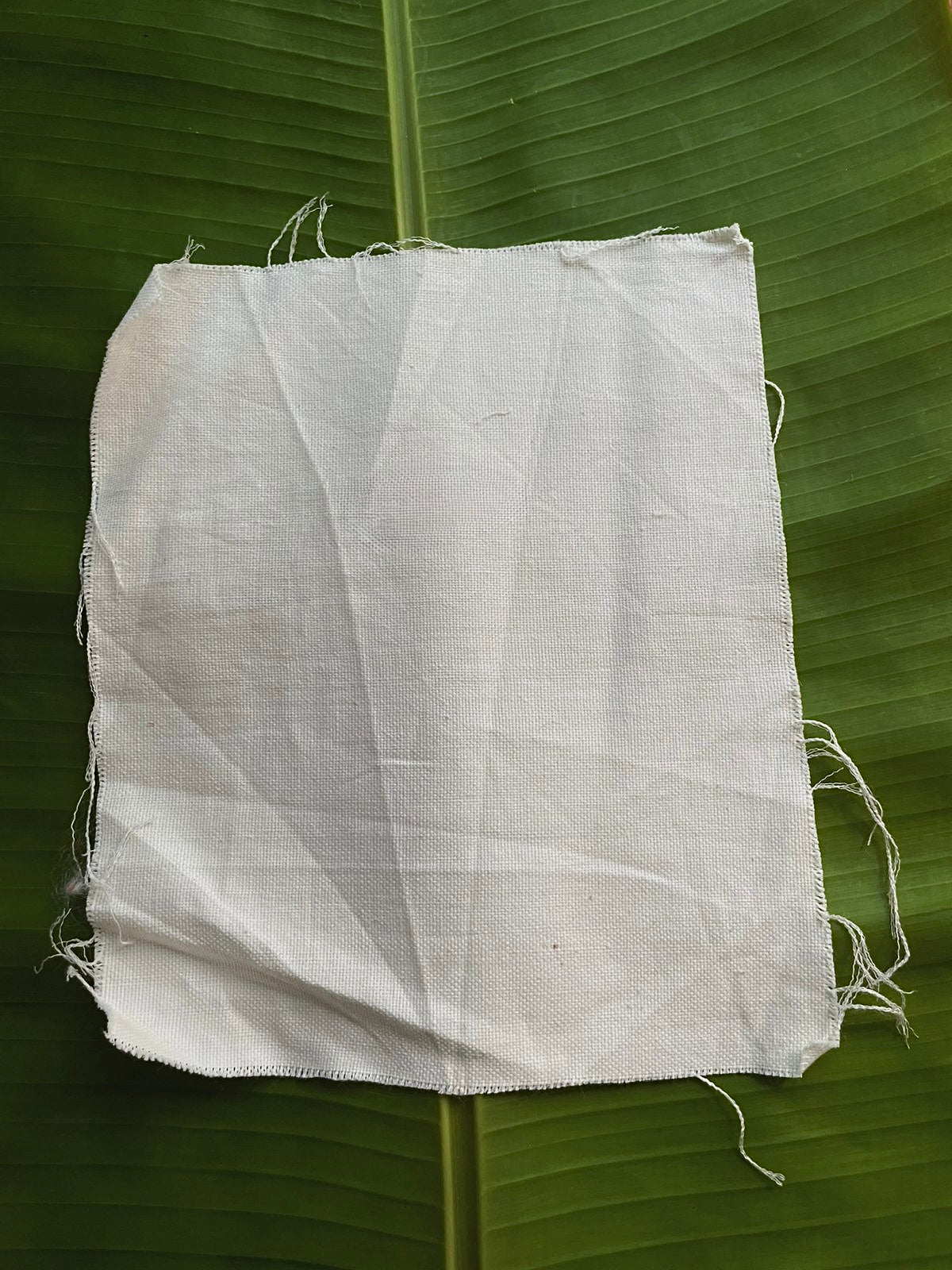60s counts 4 ply fabric in Kora plain weave