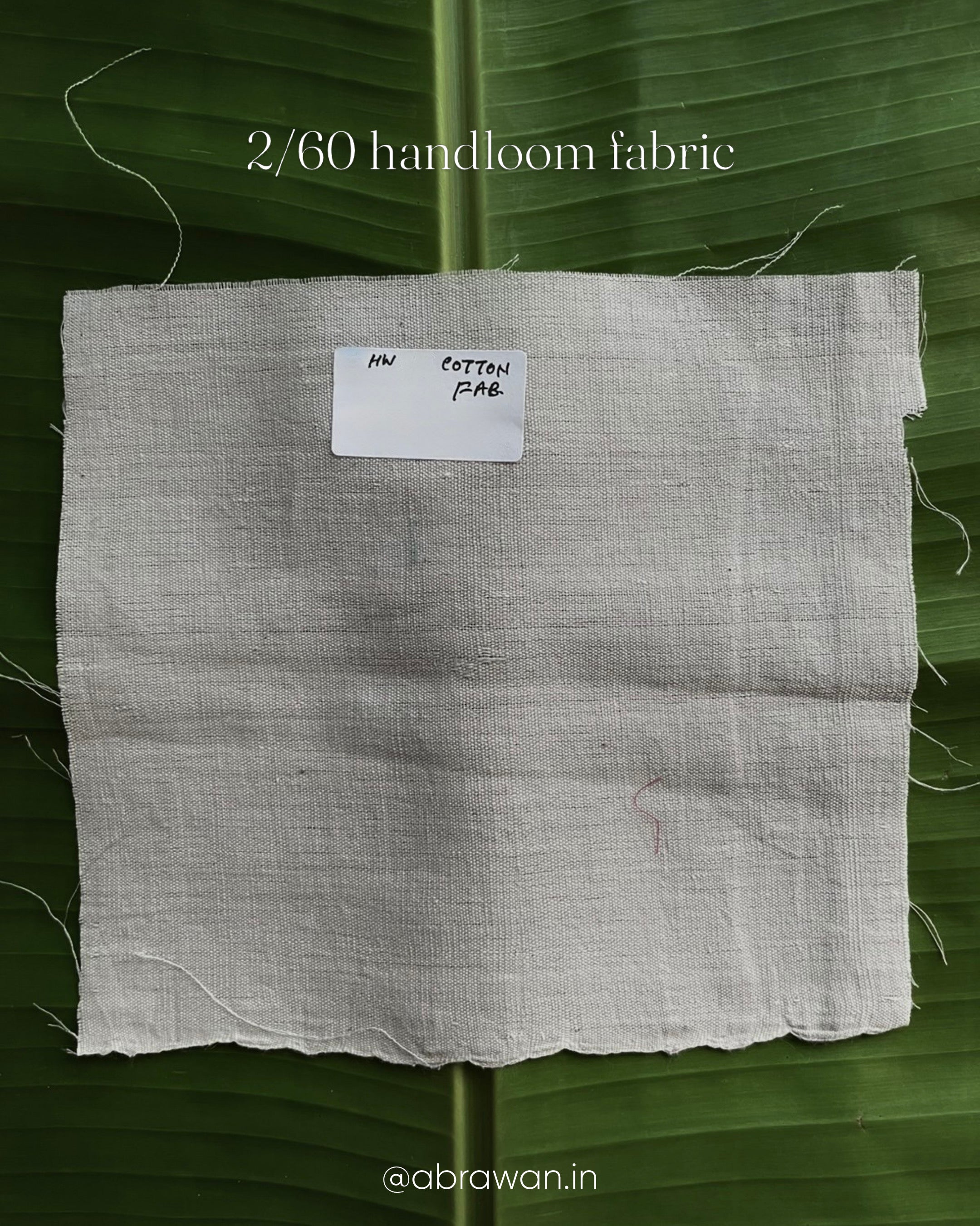 2/60 handloom cotton fabric Kora (offwhite)