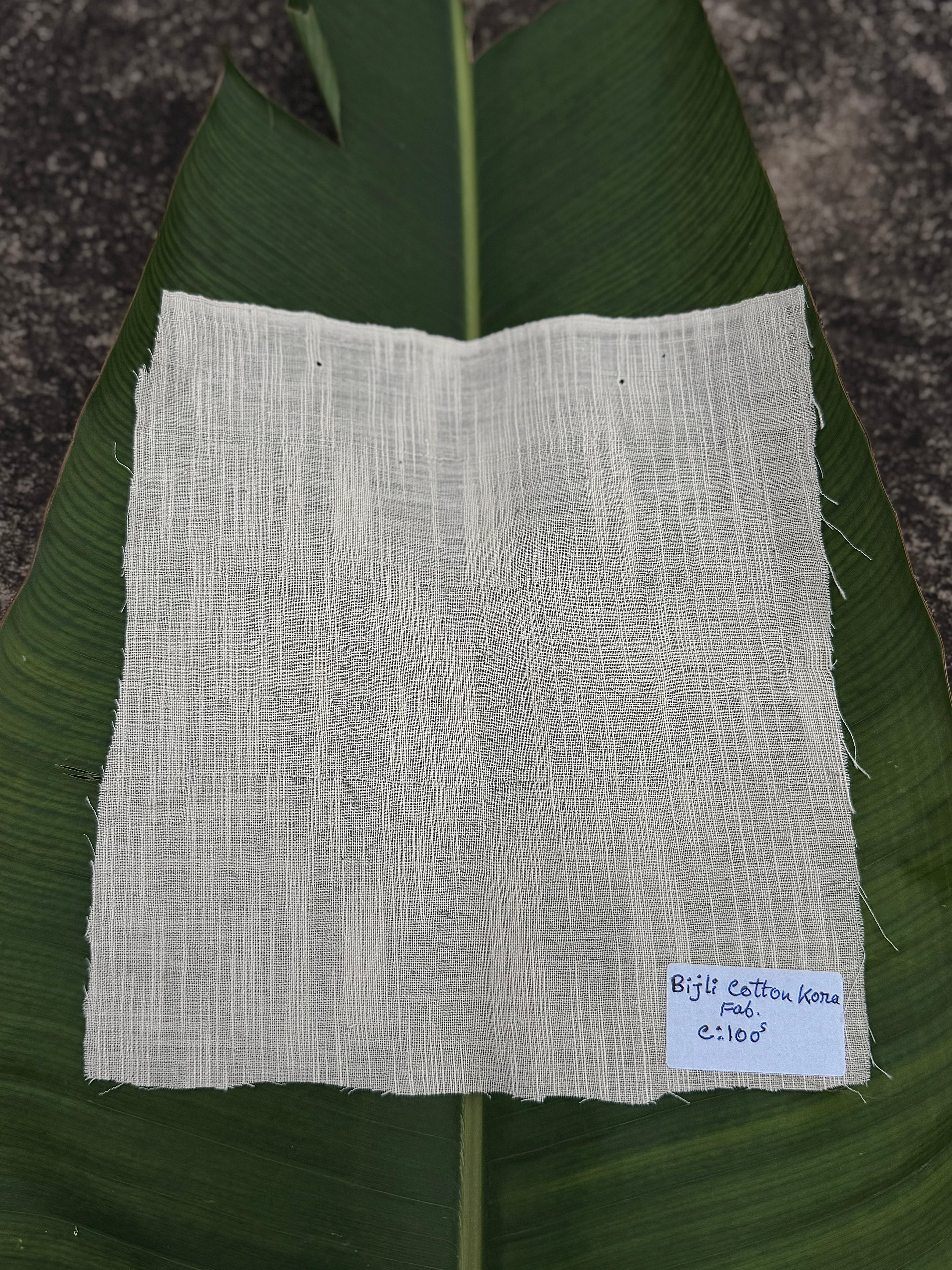 Bijli cotton 100 counts Kora