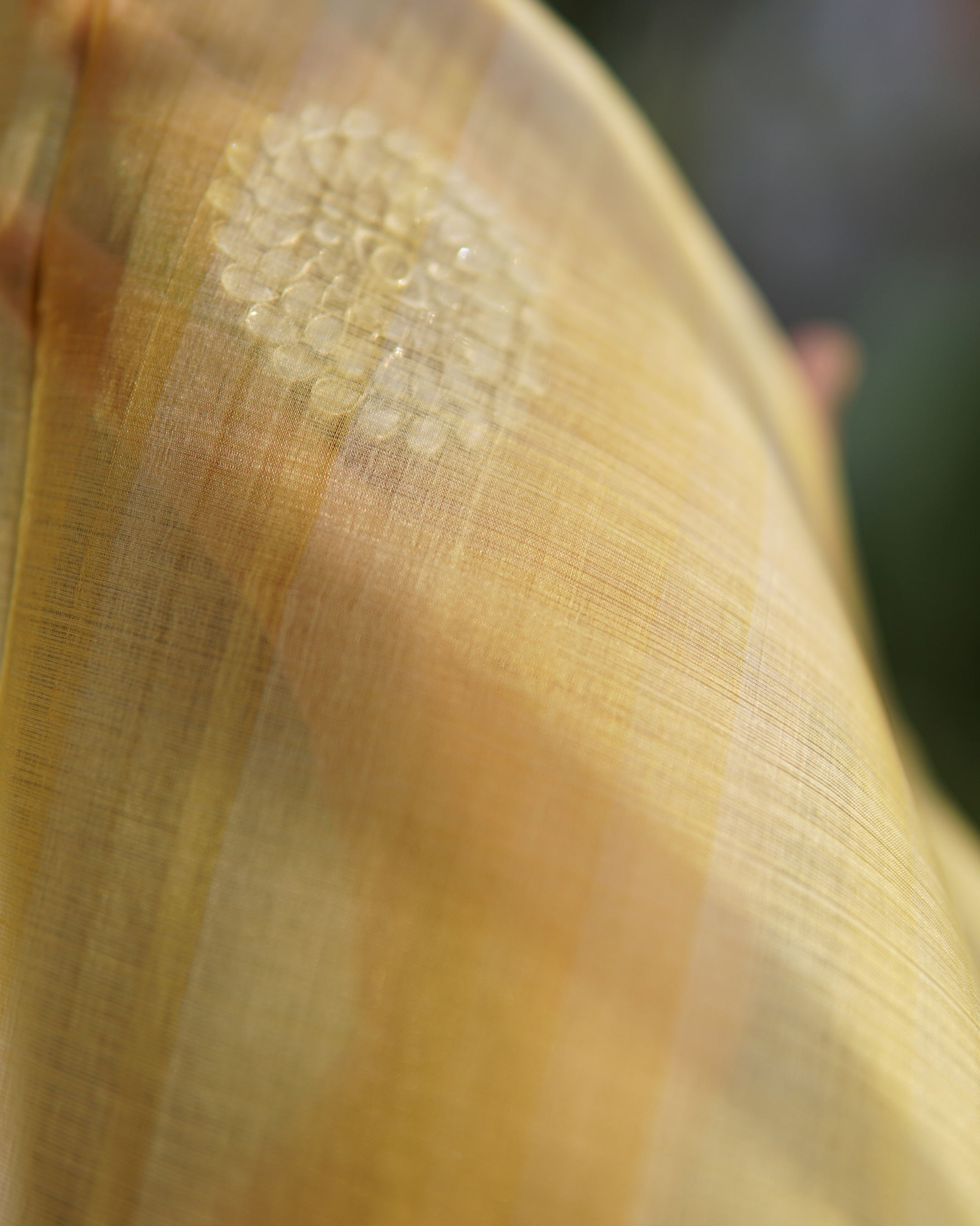 Mulberry Silk Double Thread Kora Fabric